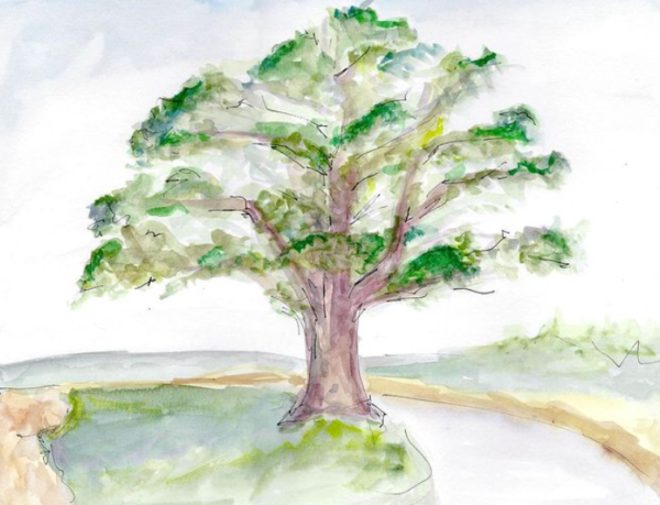 watercolor painting of a tree